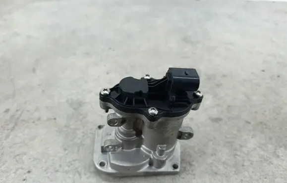 Ford Focus EGR valve 724809890
