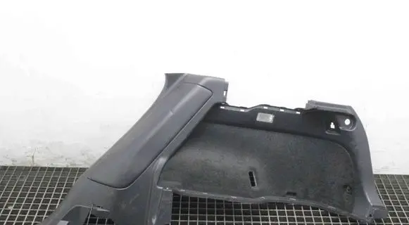 Lexus NX Trunk/boot side trim panel 6473078010