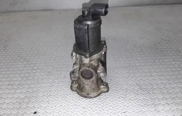 Fiat Punto (188) EGR valve