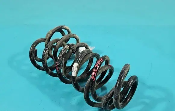 Rear coil spring