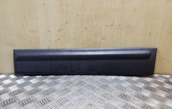 Rear door trim (molding)