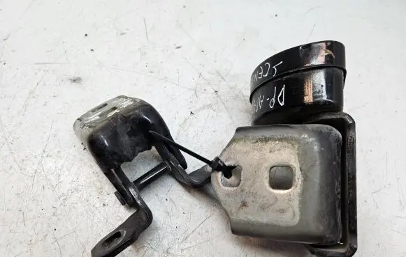 Renault Scenic II - Grand scenic II Front door hinge set 