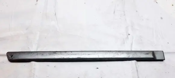 Rear door trim (molding)