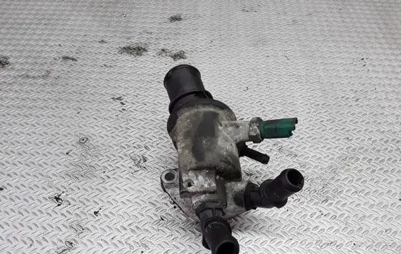 Thermostat/thermostat housing