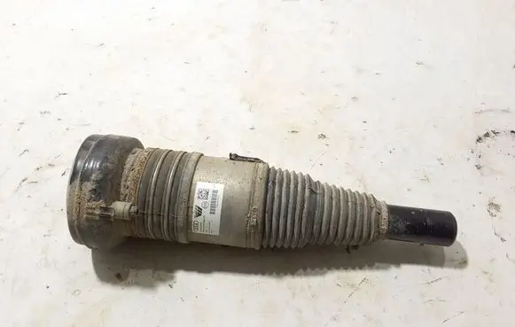 Audi e-tron Front shock absorber/damper 4KE616039E