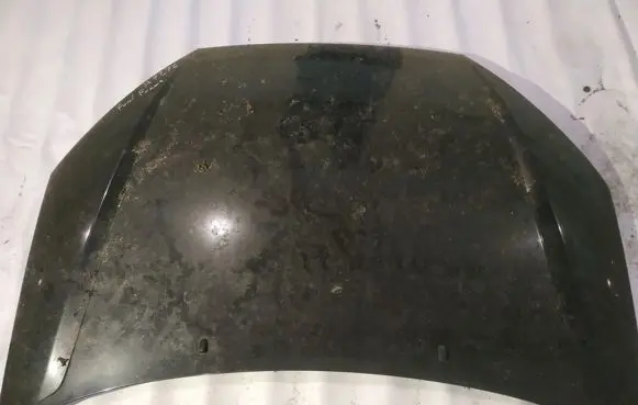 Ford Focus Engine bonnet/hood juodas