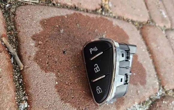 Opel Adam Central locking switch button 13363828