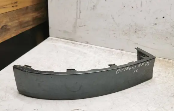 Rear/tail light trim molding