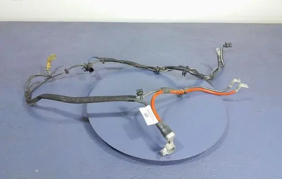 Other wiring loom