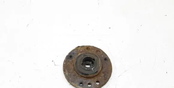 Coil spring mount