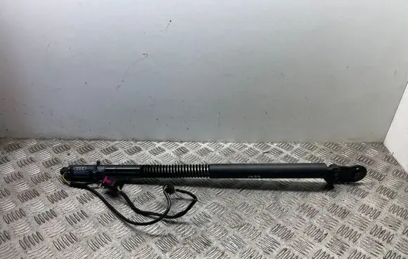 Tailgate/trunk strut/damper