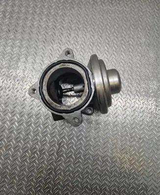 Skoda Fabia Mk1 (6Y) EGR valve 045131501K V100 262814048