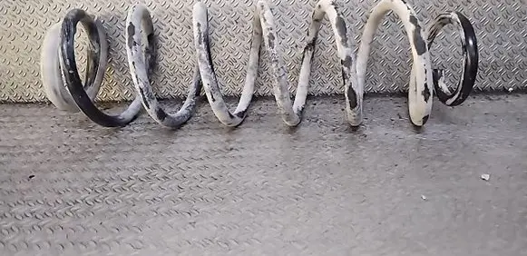 Rear coil spring