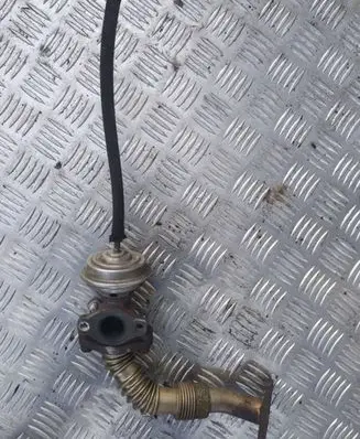 Seat Alhambra (Mk1) EGR valve line/pipe/hose 99T218 028131501E