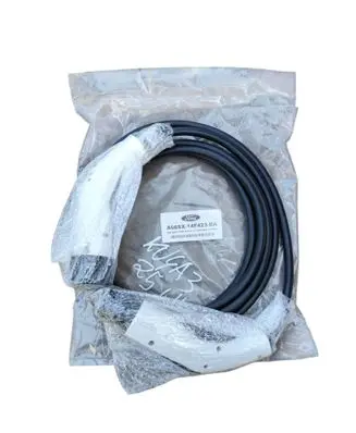 Ford Kuga III Electric car charging cable A66SX14F423DA