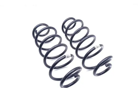 Ford Puma Rear coil spring L1TC-5560-BEA