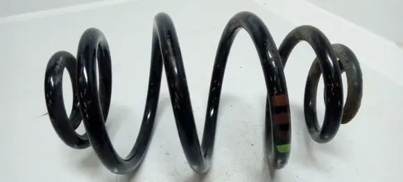 Volkswagen PASSAT B5.5 Rear coil spring