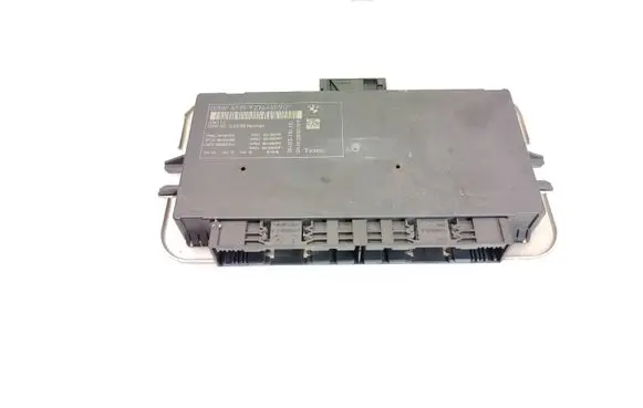 BMW 5 F10 F11 Light module LCM 9236460 005005043 004000008