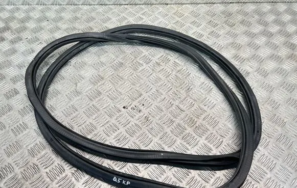 Audi Q5 SQ5 Front door rubber seal 