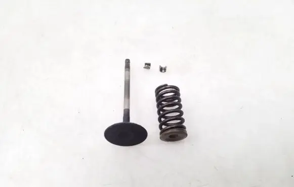 Nissan Murano Z50 Valve 