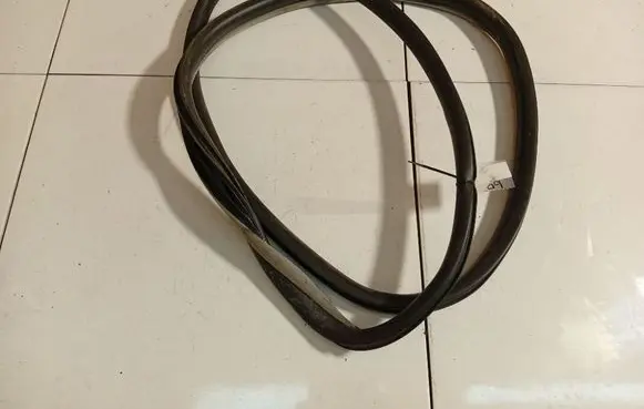 Renault Laguna III Rubber seal front coupe door 