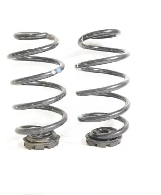 Renault Zoe Rear coil spring