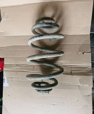 Volkswagen PASSAT B5 Rear coil spring