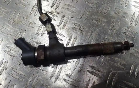 Fiat Punto (188) Fuel injector 0445110019