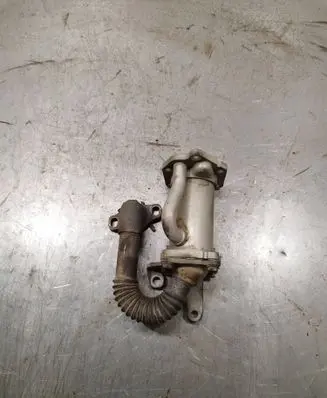 EGR valve cooler