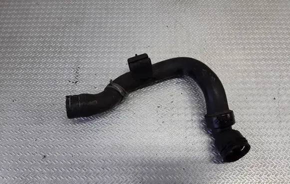 Volkswagen PASSAT B5.5 Engine coolant pipe/hose