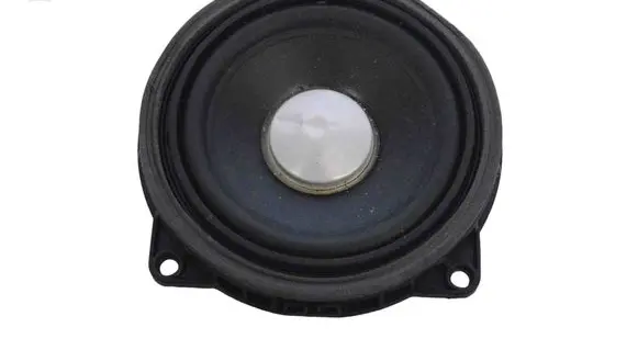 Front door speaker