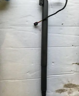 Tailgate strut
