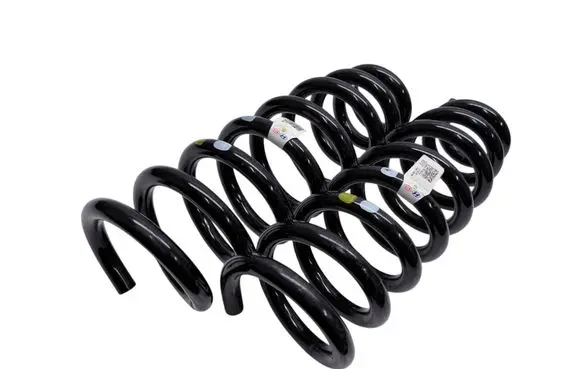 KIA EV6 Rear coil spring 55330GIAD0
