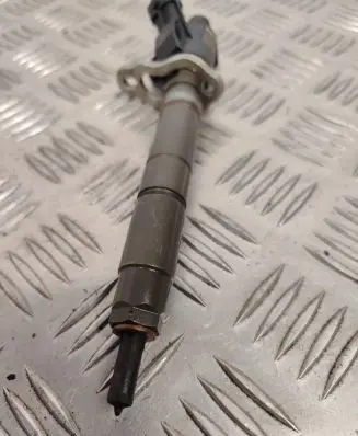 Volvo V70 Fuel injector 31303238