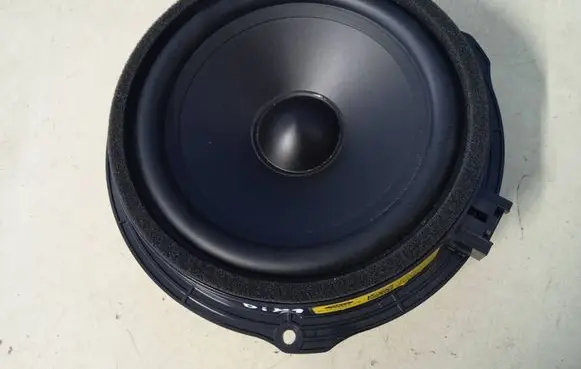 Front door speaker