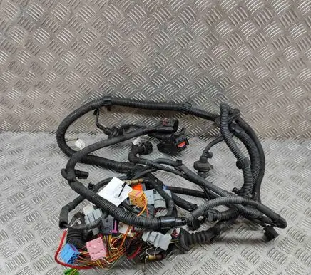 Engine installation wiring loom