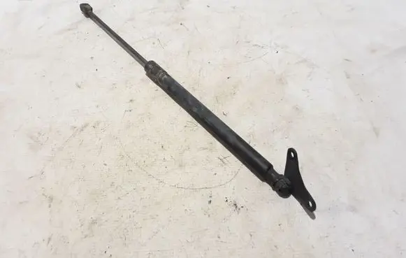Volkswagen Tiguan Tailgate strut 5N0827550