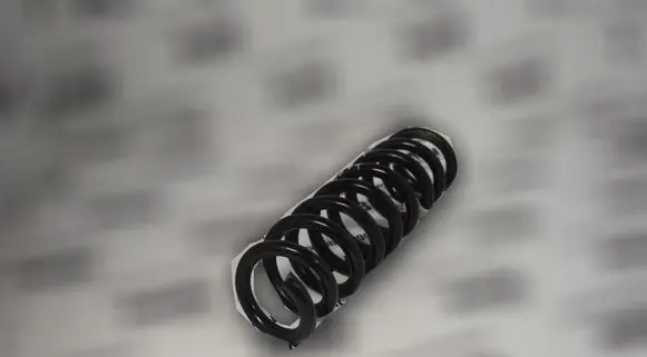Rear coil spring