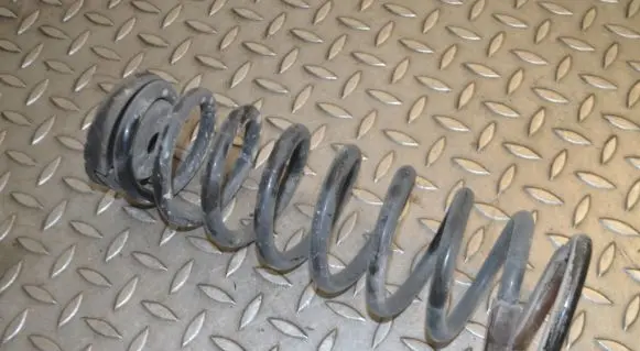 Rear coil spring