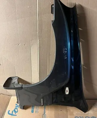 Hyundai Terracan Fender