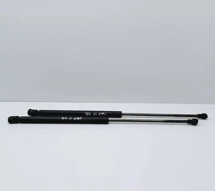 Tailgate/trunk strut/damper