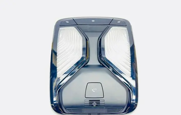 BMW 5 G30 G31 Front seat light 5A2516001 2202731832 28725731