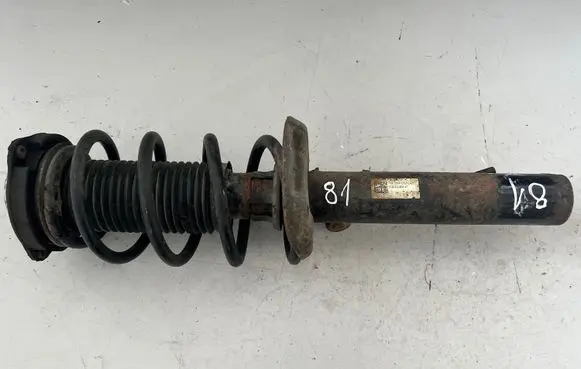 Volkswagen PASSAT B6 Front shock absorber with coil spring 3C0413031AT