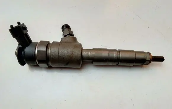Ford C-MAX II Fuel injector 0445110489