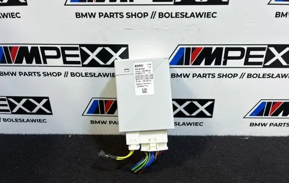 BMW X3 G01 Fuel pump relay 5A08539