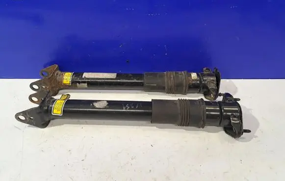 Mercedes-Benz R W251 Rear shock absorber/damper A2513203131