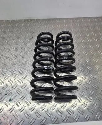 Rear coil spring