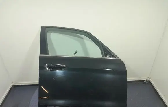 Ford Galaxy Front door