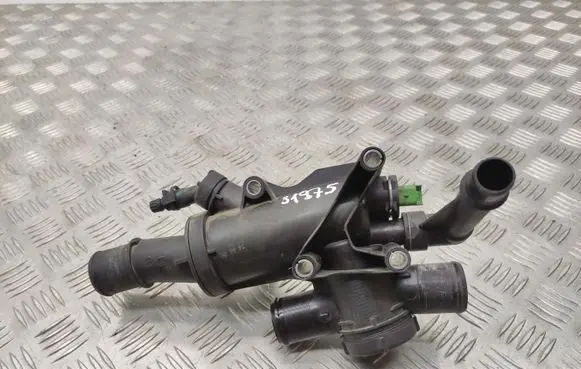 Citroen C5 Thermostat/thermostat housing 9656182980