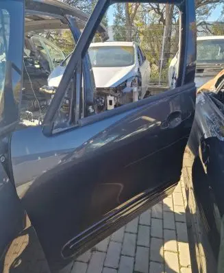Fiat 500L Front door